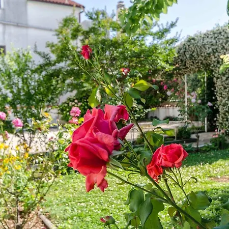 Zanze Apartment Vodice