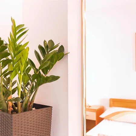 Apartment Zanze *